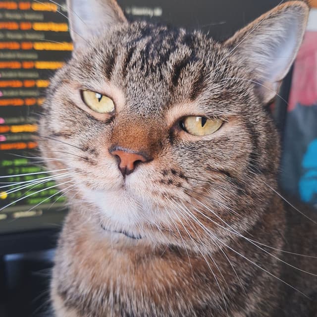 Caju